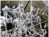 In icy chains
